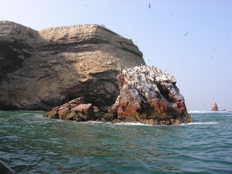Description of the image