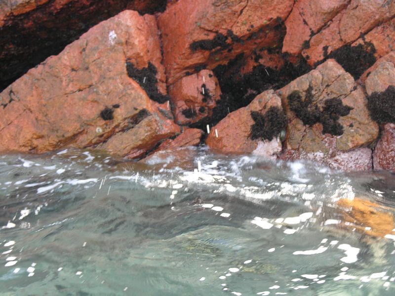 Description of the image
