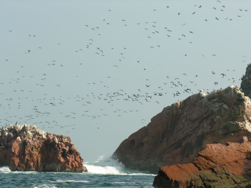 Description of the image