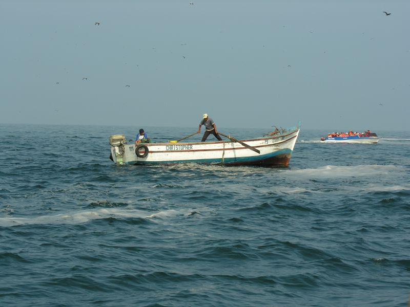 Description of the image