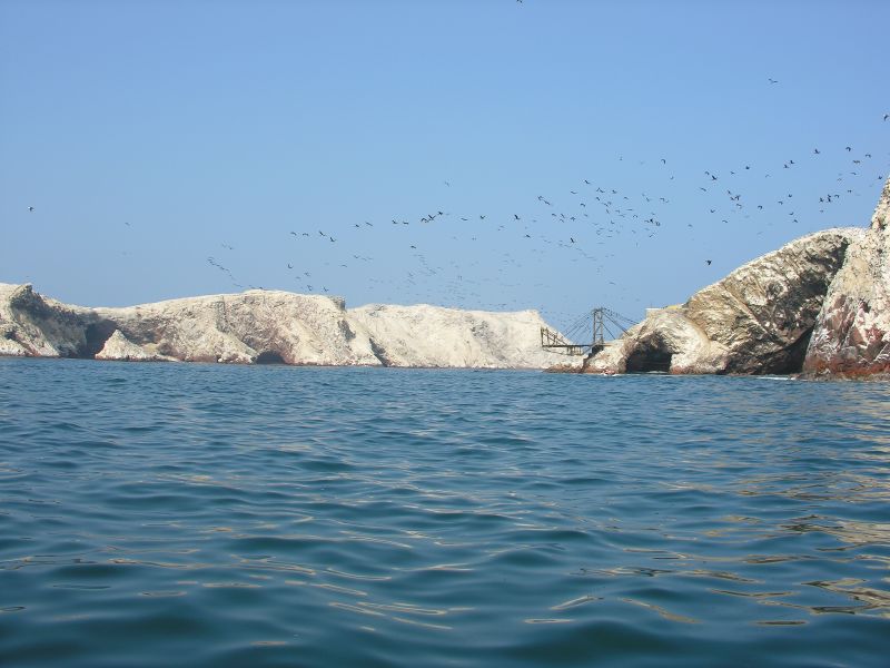 Description of the image
