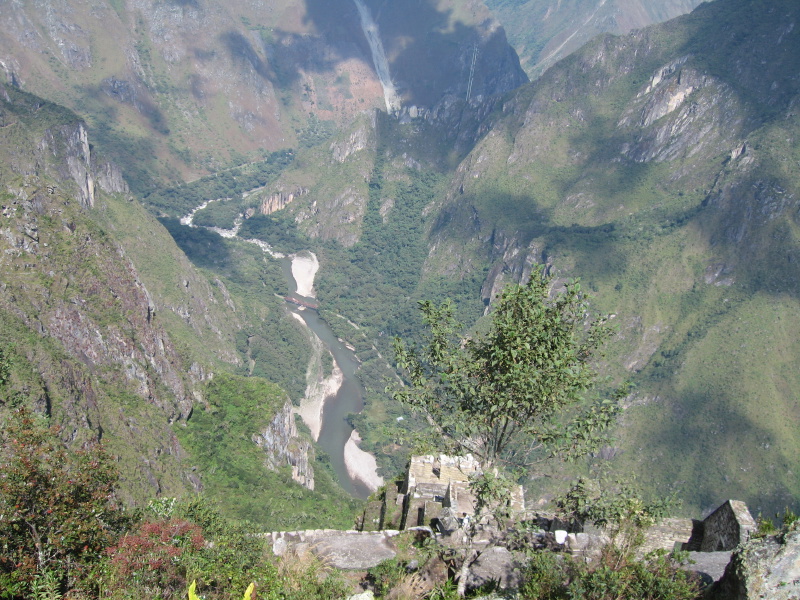 Description of the image