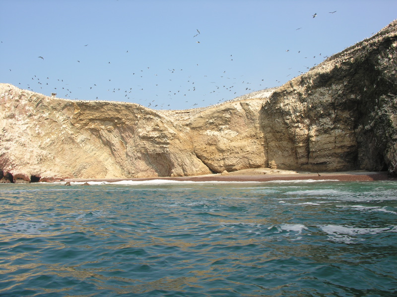 Description of the image