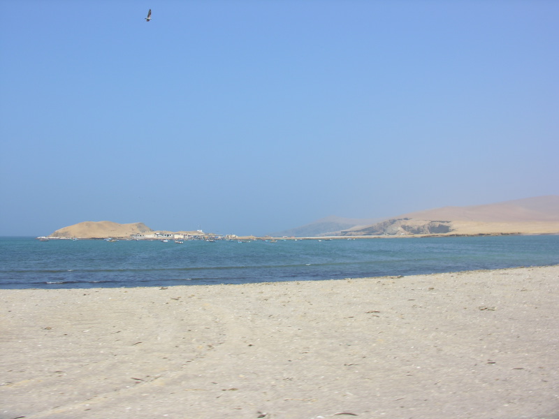 Description of the image