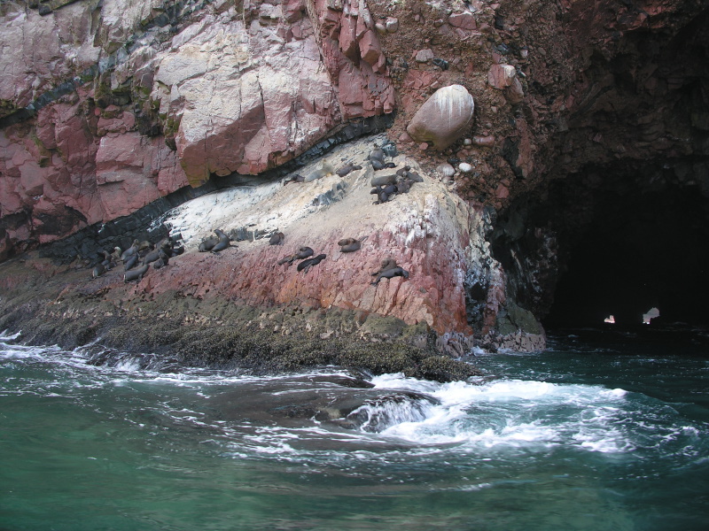 Description of the image