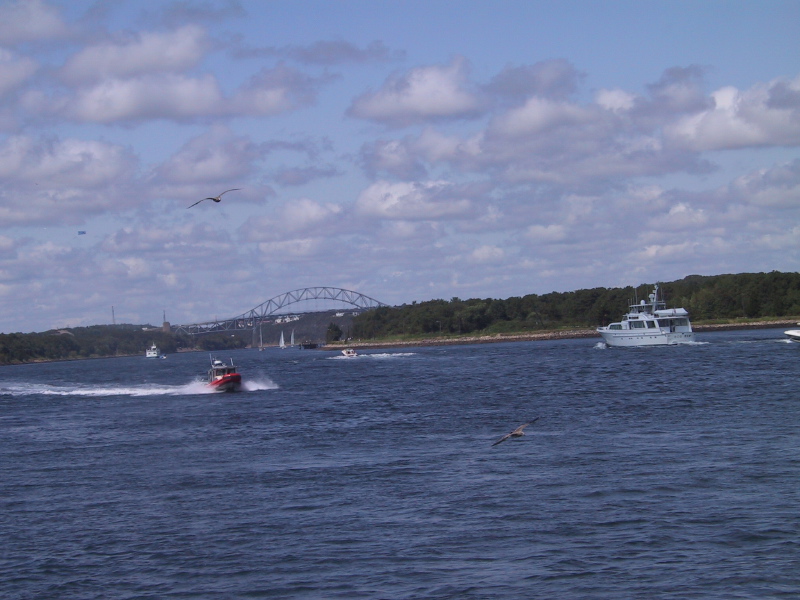 Description of the image