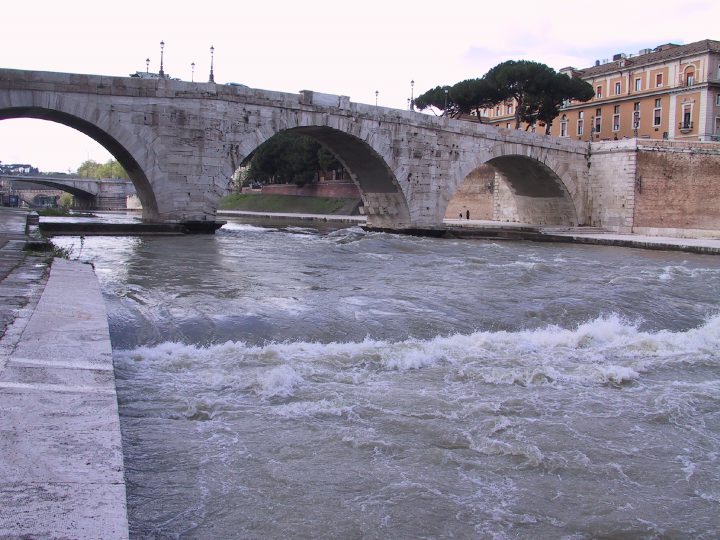 Description of the image