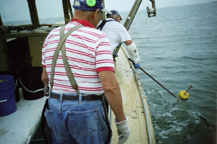 Description of the image