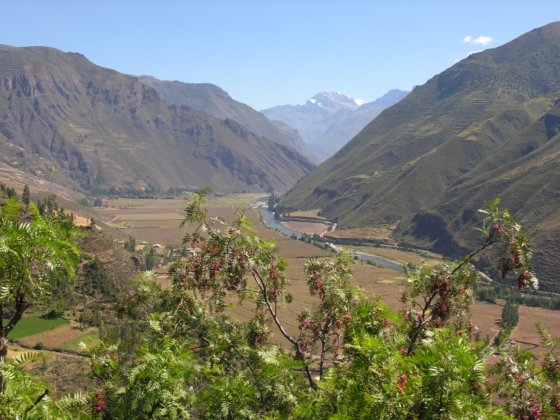 Description of the image