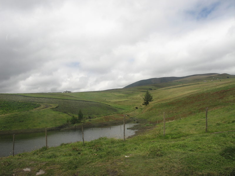 Description of the image