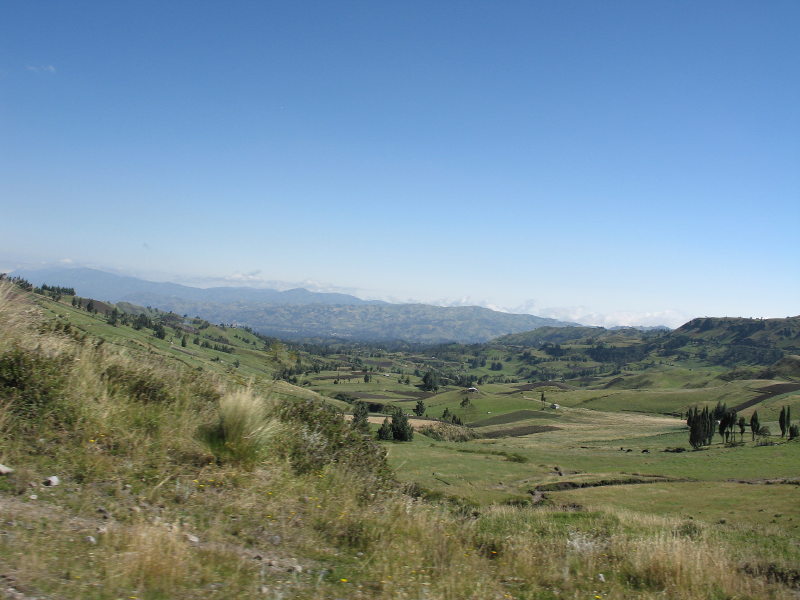 Description of the image