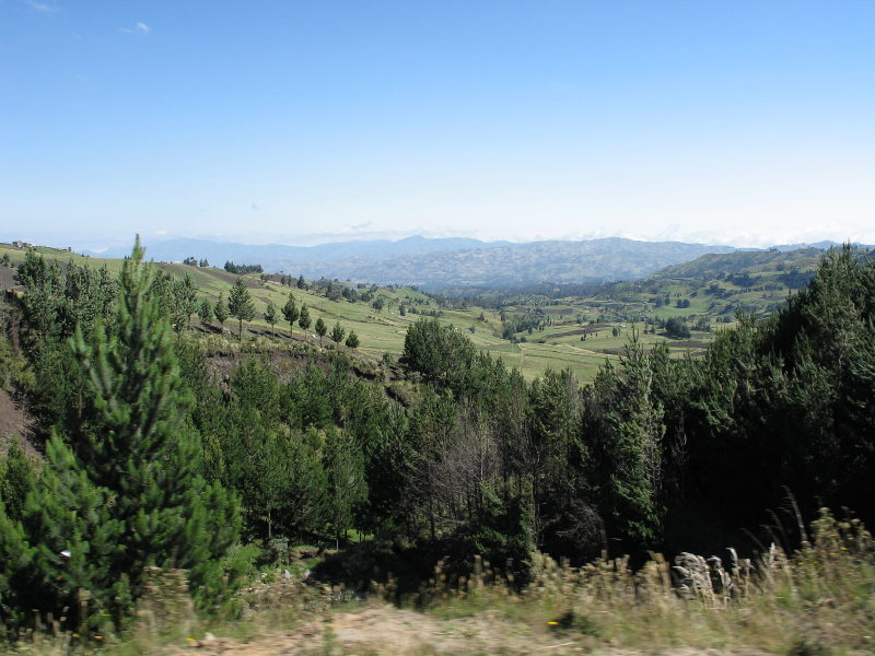 Description of the image