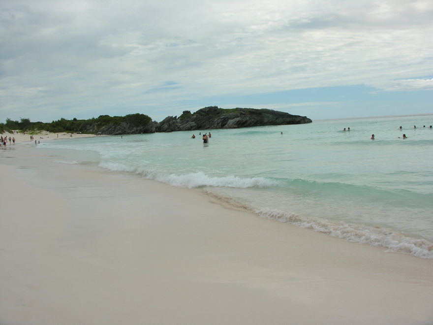 Description of the image