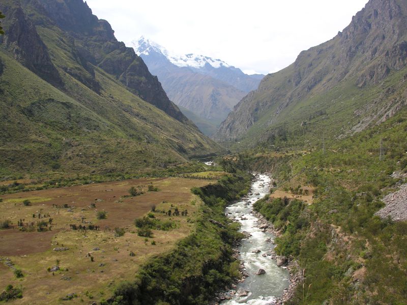 Description of the image