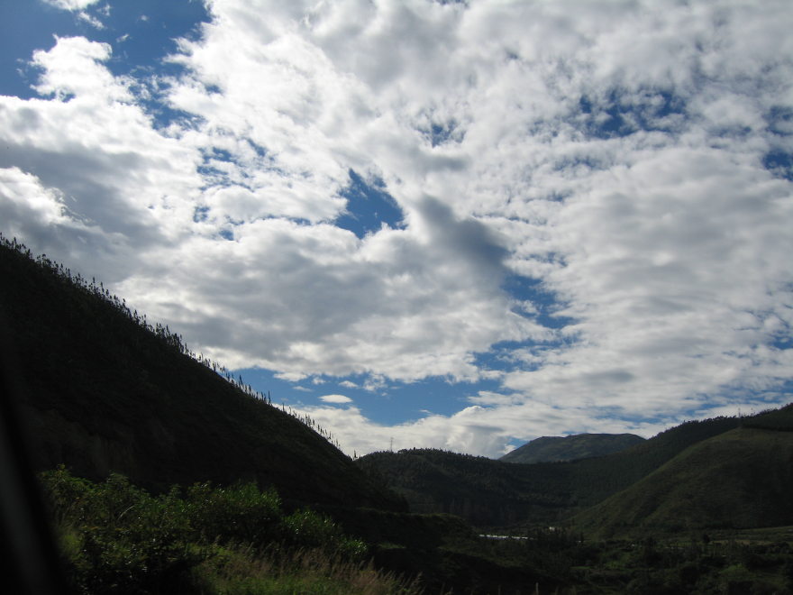 Description of the image