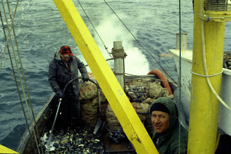 Description of the image