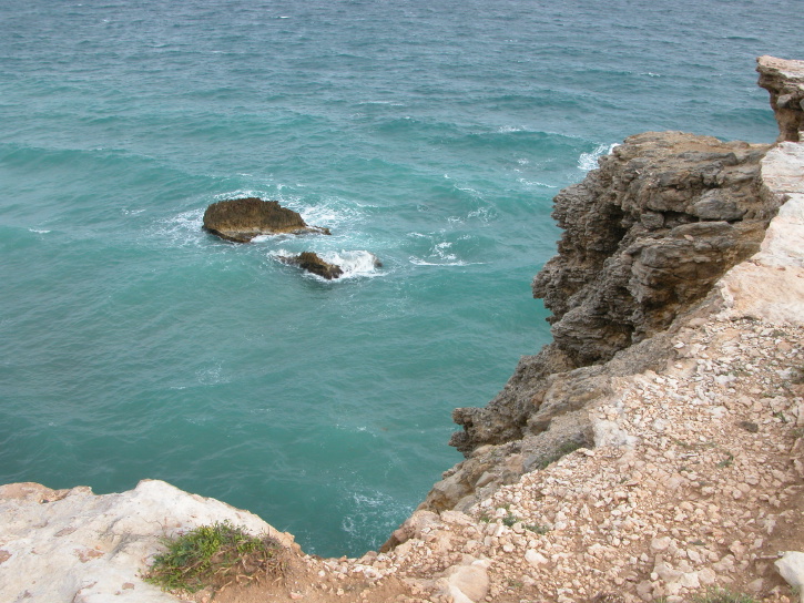 Description of the image
