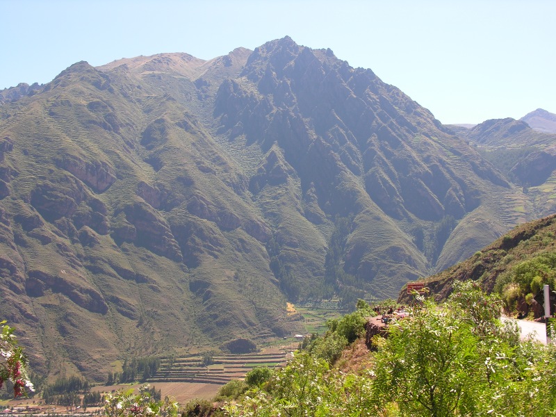 Description of the image