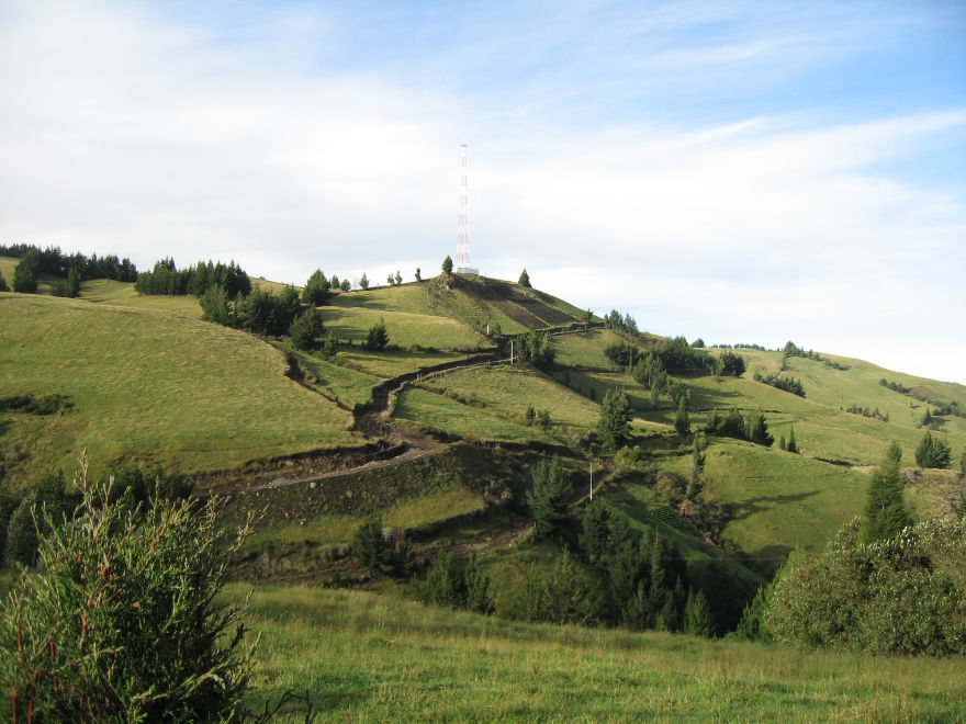 Description of the image