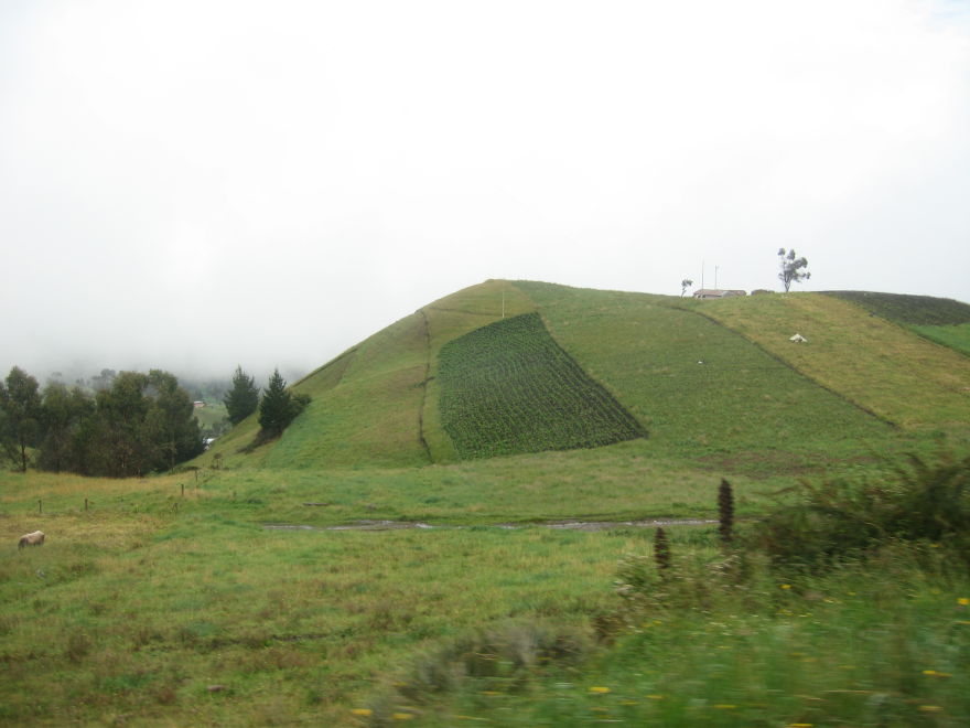 Description of the image