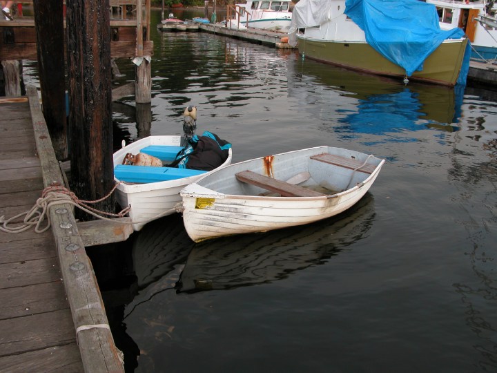 Description of the image