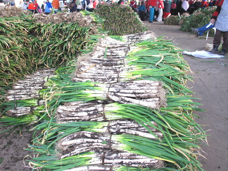 Description of the image