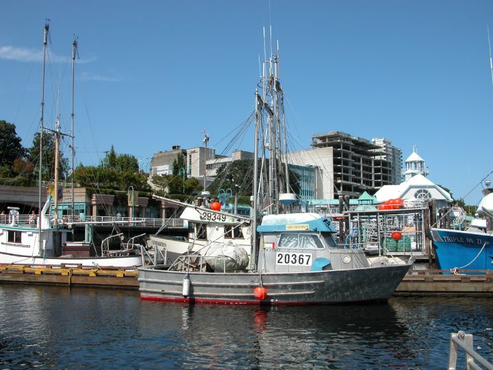 Description of the image