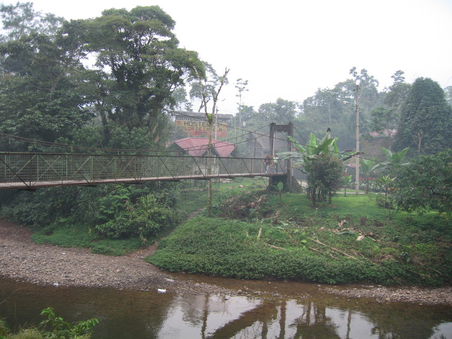 Description of the image