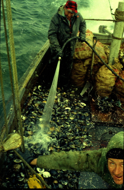 Description of the image
