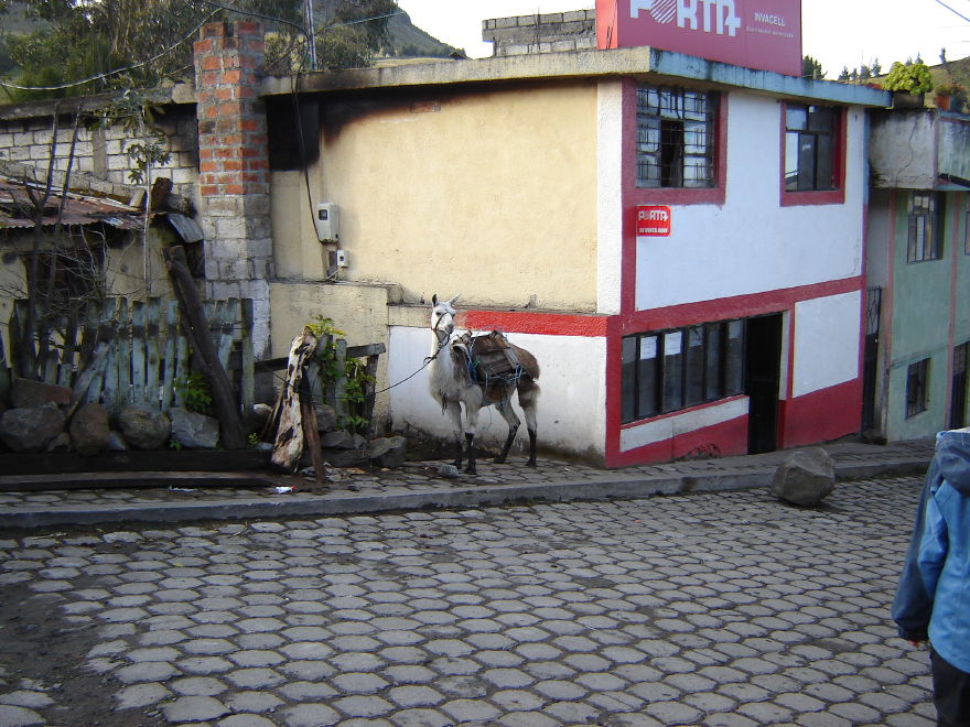 Description of the image