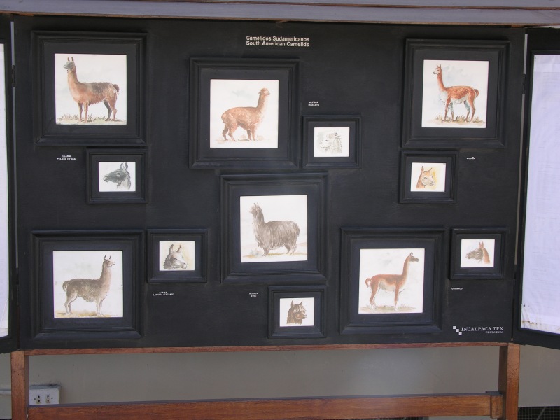 Description of the image