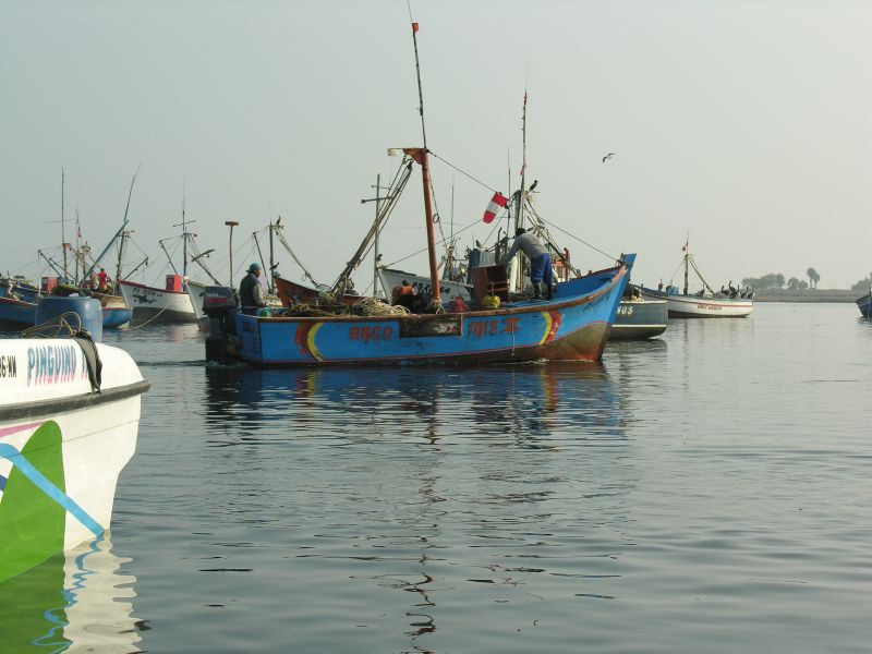 Description of the image