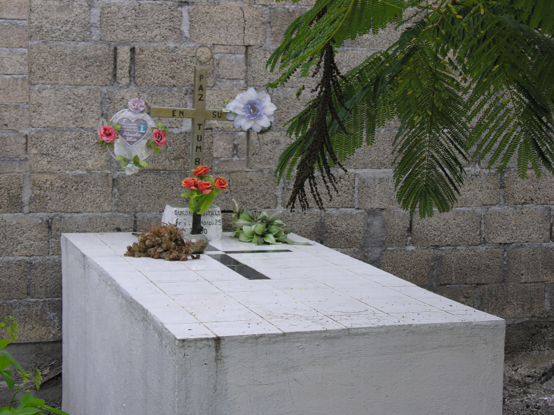 Description of the image