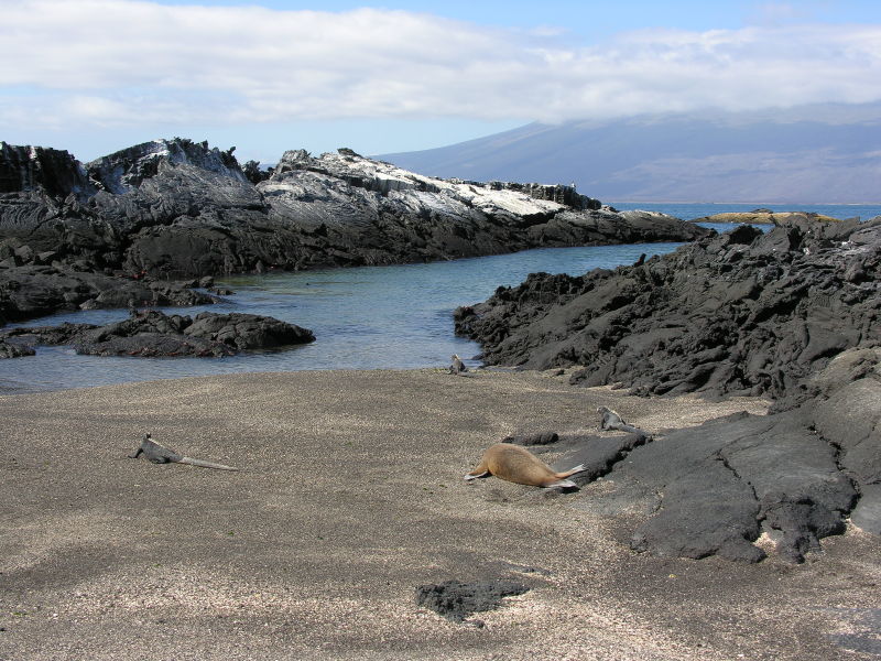 Description of the image
