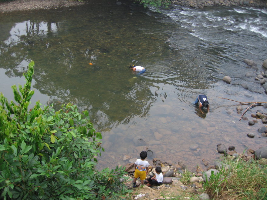 Description of the image