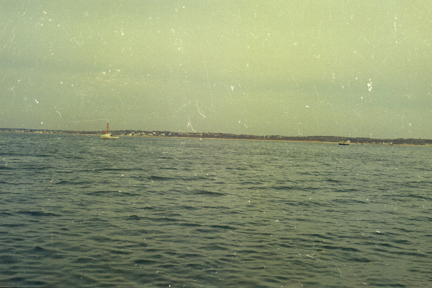 Description of the image