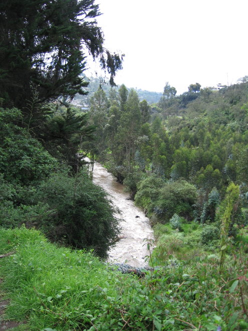 Description of the image