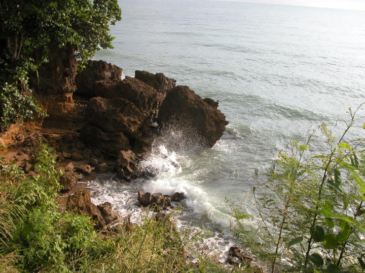 Description of the image
