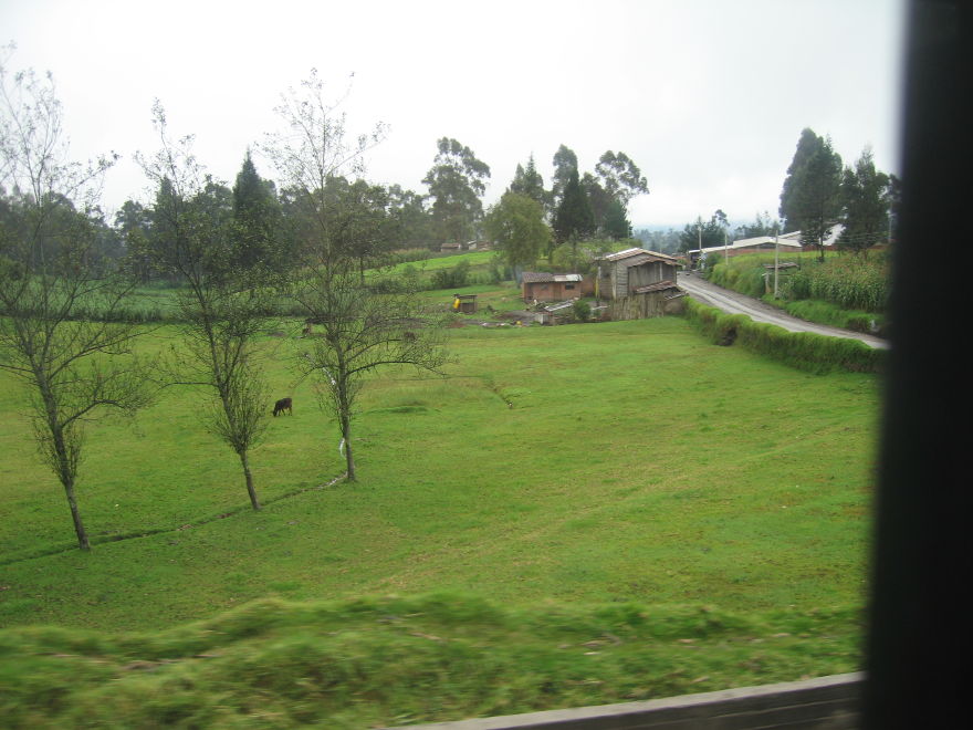 Description of the image