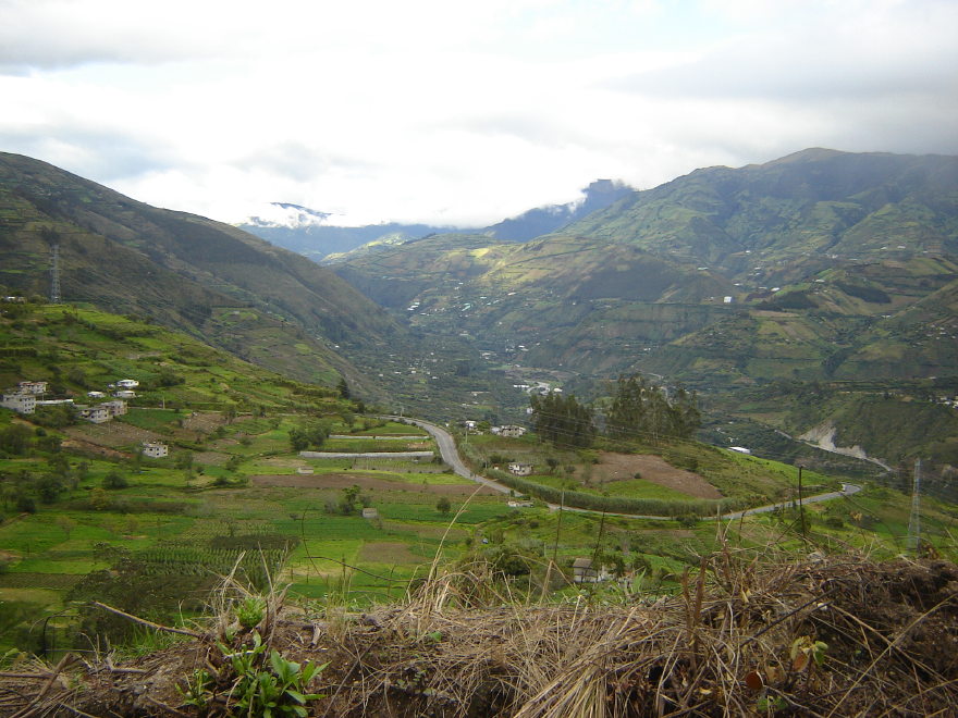 Description of the image