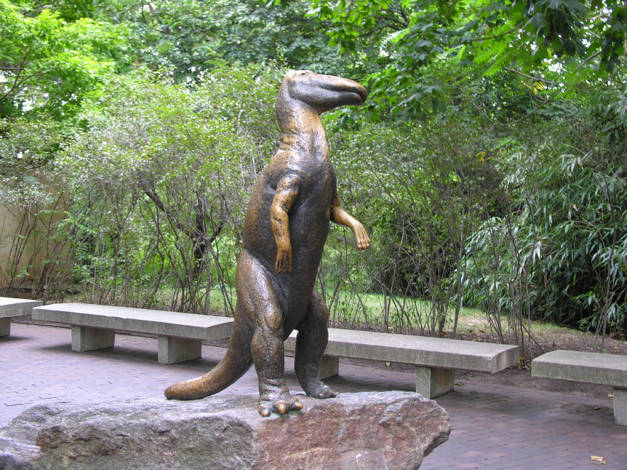 Description of the image