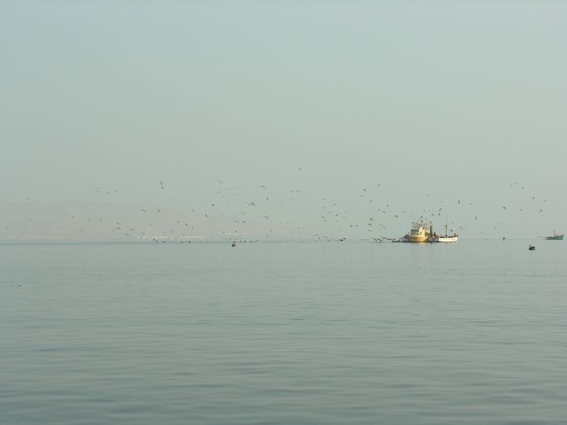Description of the image