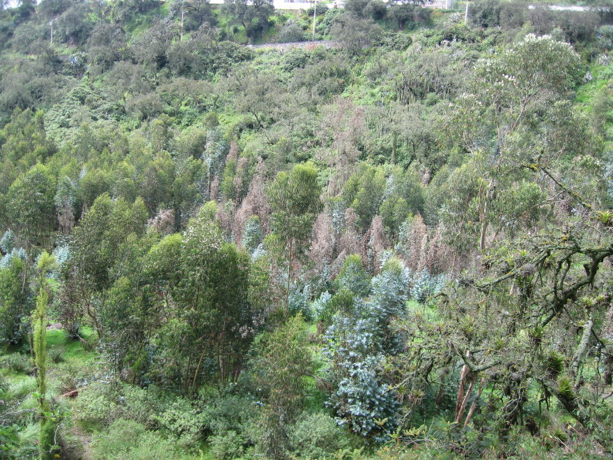 Description of the image