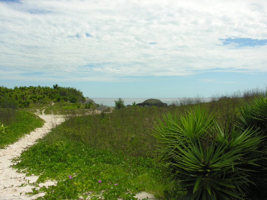 Description of the image