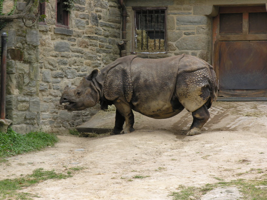 Description of the image