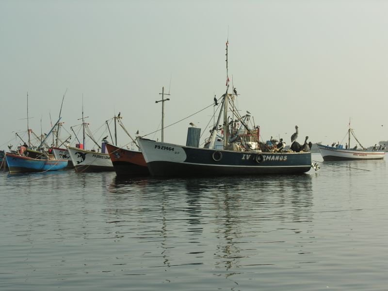Description of the image