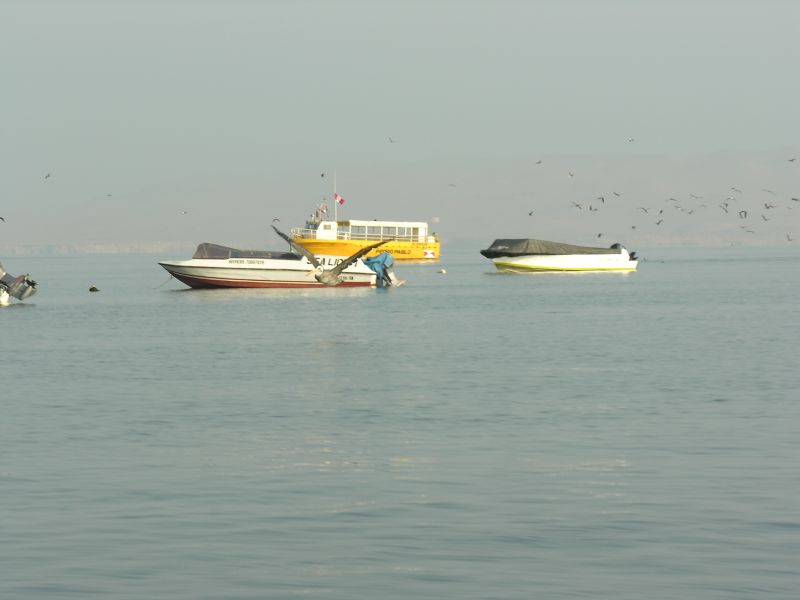 Description of the image