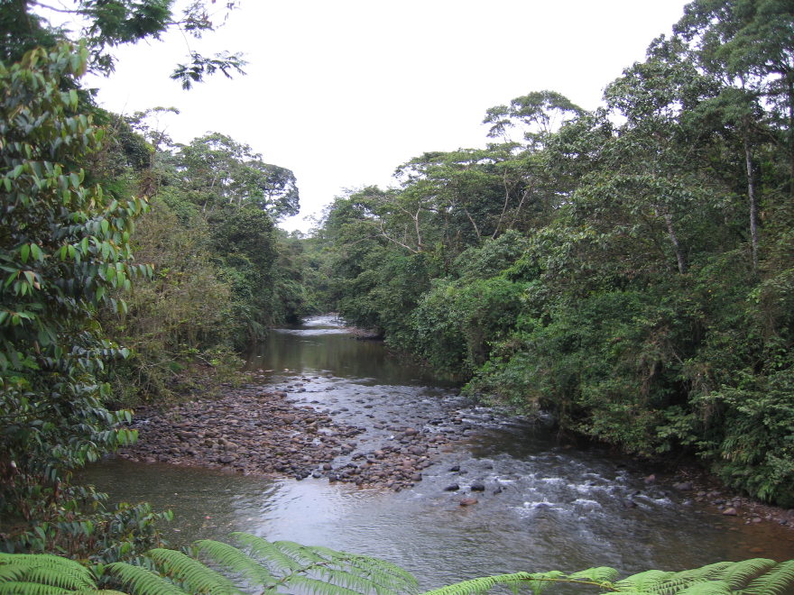 Description of the image