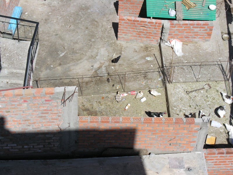 Description of the image