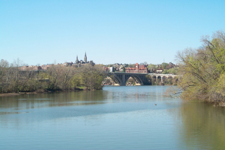 Description of the image
